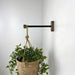 Wall Hanging Plant Bracket | Black & Walnut 6" 8" 10" - Image 2