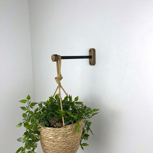 Wall Hanging Plant Bracket | Black & Walnut 6" 8" 10" - Image 1