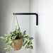 Wall Hook for Hanging Planters | Black Color - Image 1