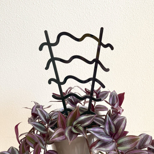 Wavy Houseplant Stake Trellis | Black - Image 1