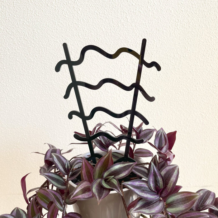 Wavy Houseplant Stake Trellis | Black - Image 1