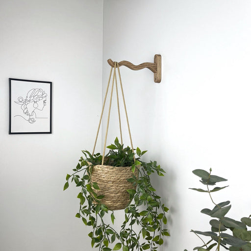 Wavy Plant Hanger Hook for Houseplants | Walnut - Image 2