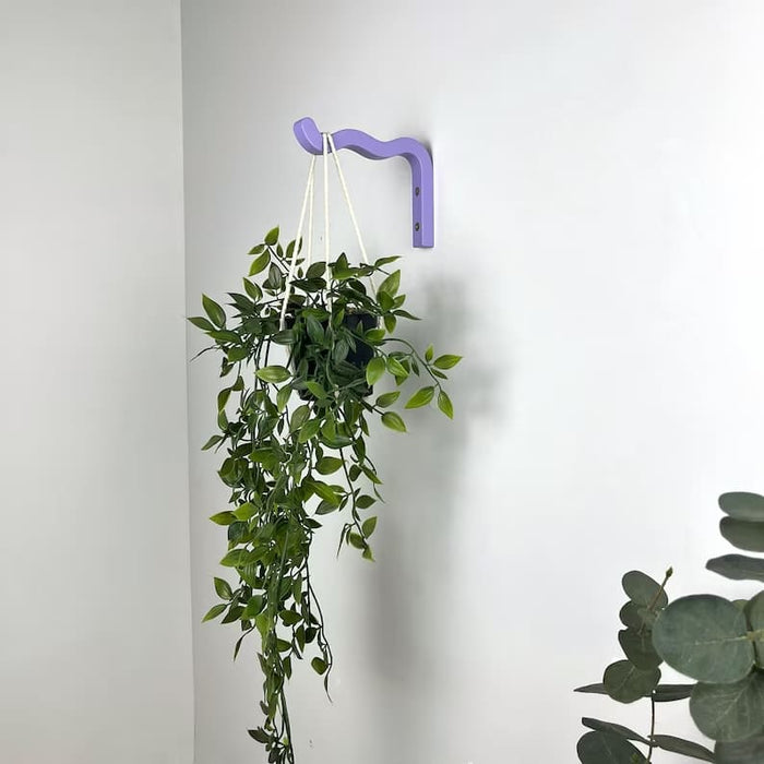 Wavy Plant Hanger Hook for Wall | Colorful 6"x4" - Image 6