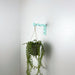 Wavy Plant Hanger Hook for Wall | Colorful 6"x4" - Image 3