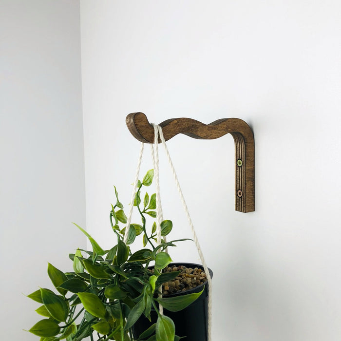 Wavy Plant Hanging Bracket | Walnut 6"x4" - Image 3