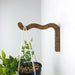 Wavy Plant Hanging Bracket | Walnut 6"x4" - Image 1
