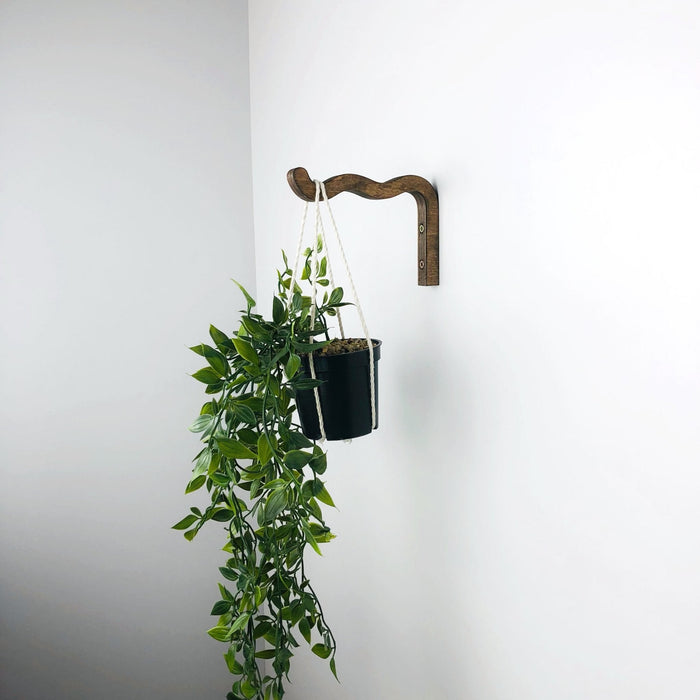 Wavy Plant Hanging Bracket | Walnut 6"x4" - Image 2