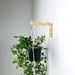 Wavy Wooden Plant Hanger Hook | Natural 6"x4" - Image 3