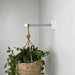 White Wall Plant Hanger Hook for Indoor| 6" 8" 10" - Image 3