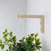 Wood Wall Plant Hanger Hook | Natural 6"x4" - Image 1