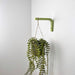 Wooden Hanging Plant Hook | Green 6"x4" - Image 2