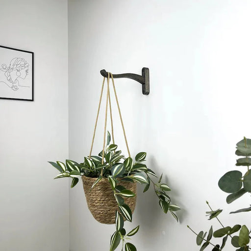 Wooden Wall Hook for Hanging Plants | Bog Oak Color - Image 2