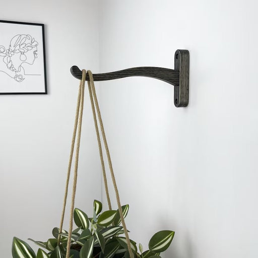 Wooden Wall Hook for Hanging Plants | Bog Oak Color - Image 1