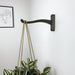 Wooden Wall Hook for Hanging Plants | Bog Oak Color - Image 1