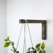 Wooden Wall Hook for Hanging Plants | Walnut 6"x4" - Image 3
