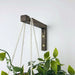 Wooden Wall Hook for Hanging Plants | Walnut 6"x4" - Image 4