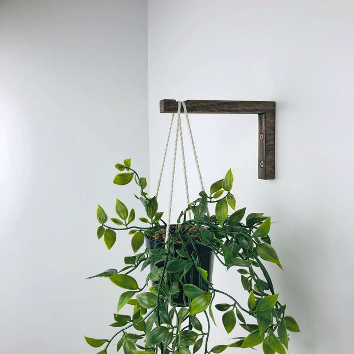 Wooden Wall Hook for Hanging Plants | Walnut 6"x4" - Image 2
