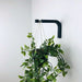 Wooden Wall Plant Hook Bracket | Black 6"x4" - Image 5